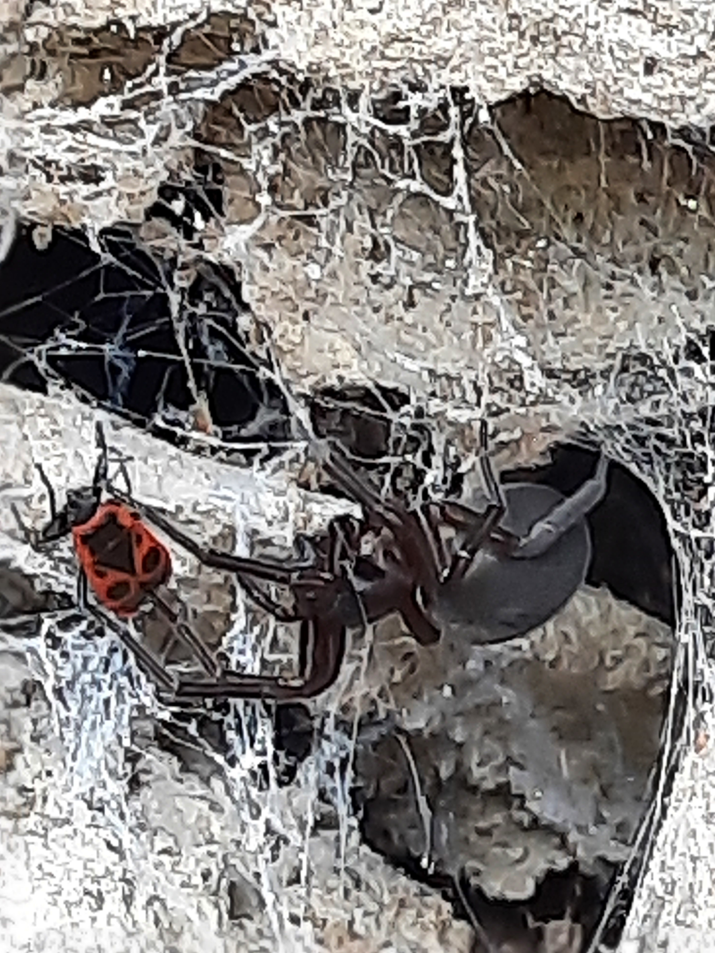 Amaurobius